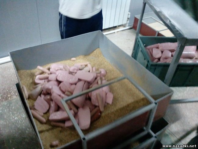 Разведение опарыша на колбасе в Саратове 