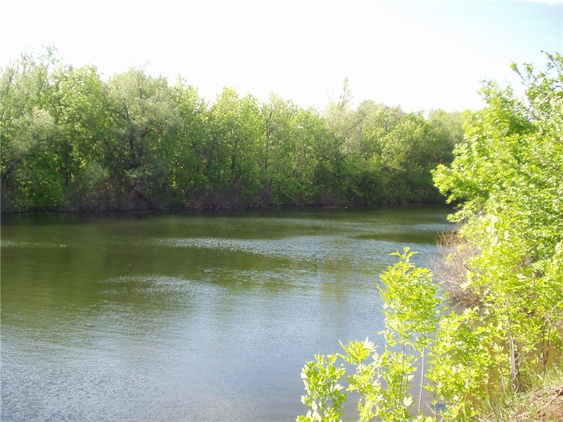 Река весной